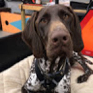 Meet your Posher, Trey